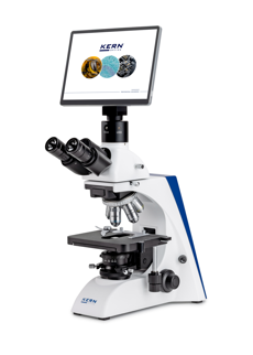 Stereo microscopes
