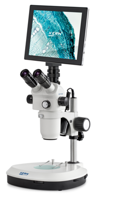 Stereo microscopes